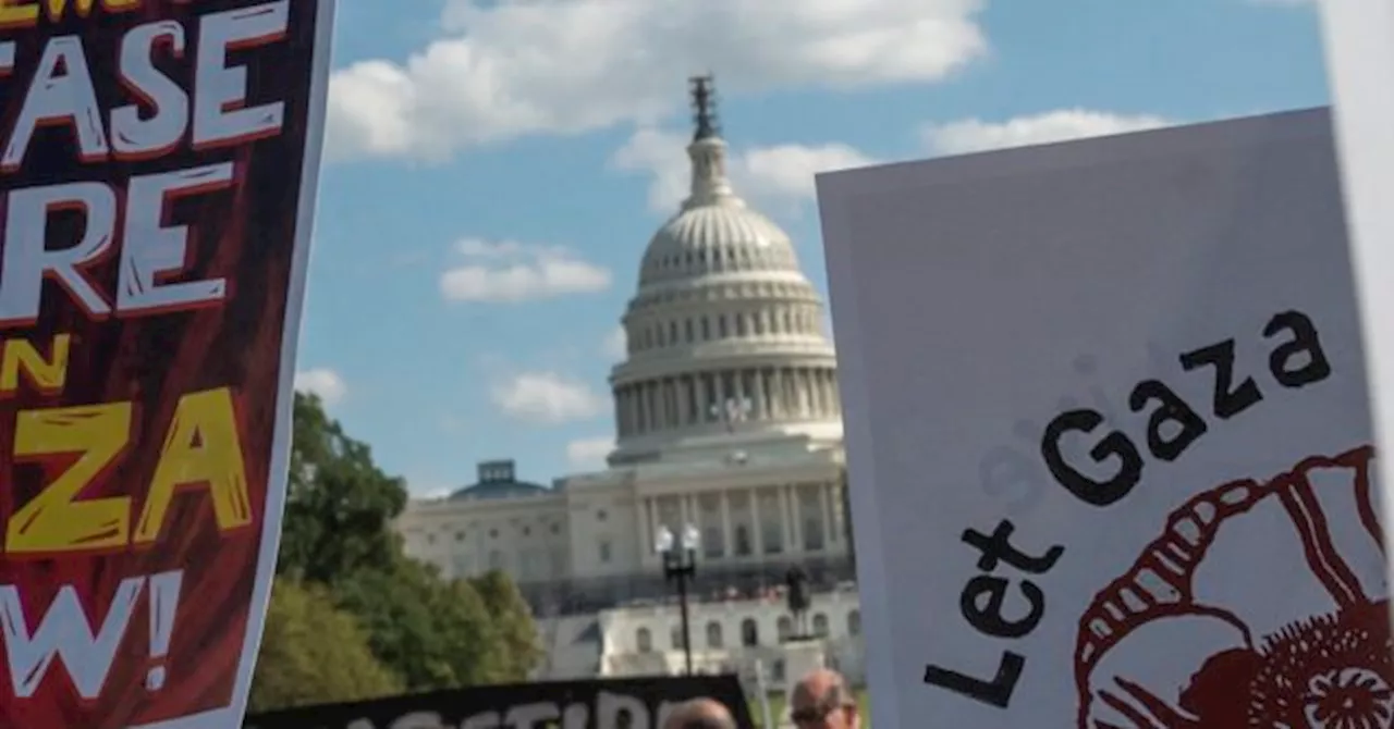 WATCH: Pro-Palestinian Protesters Stage ‘Insurrection’ in U.S. Capitol Office Building