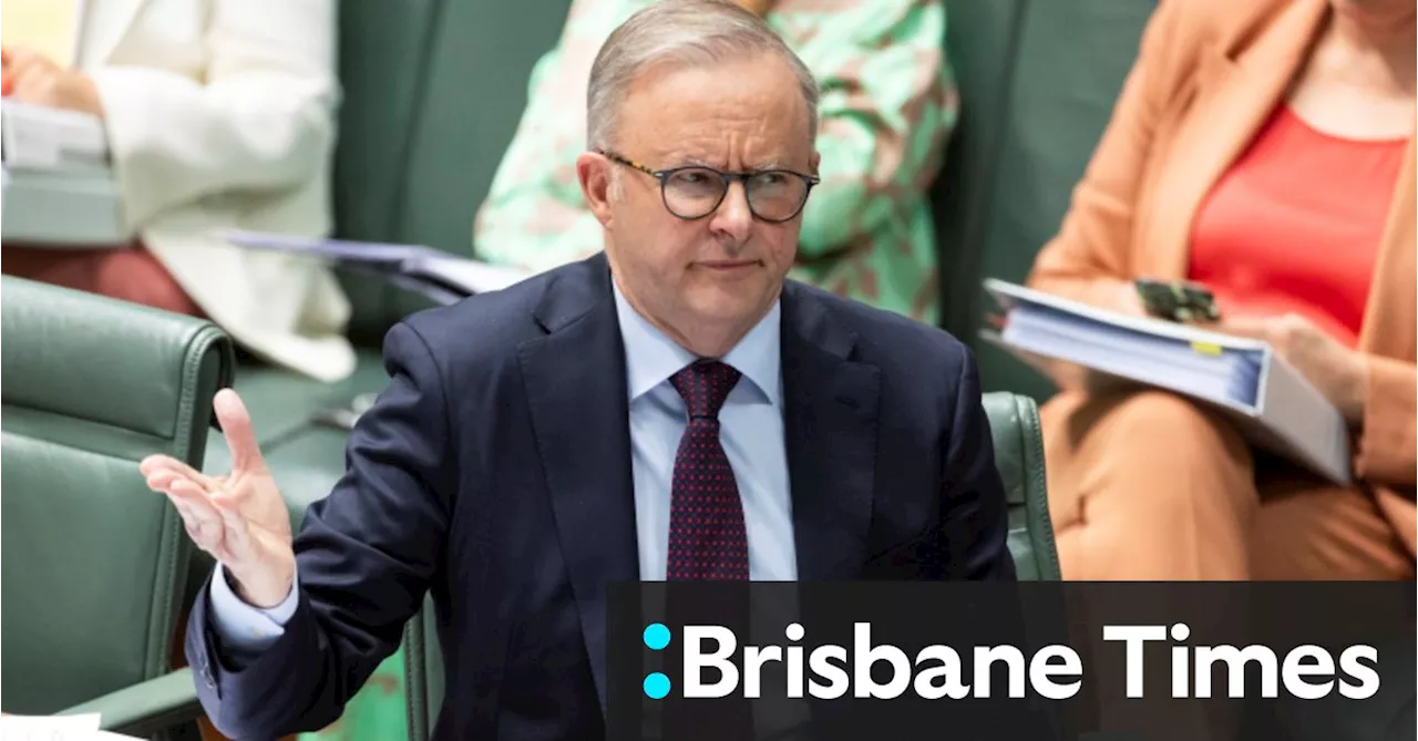 Albanese says he was never asked to delay Voice referendum as defeat loomed