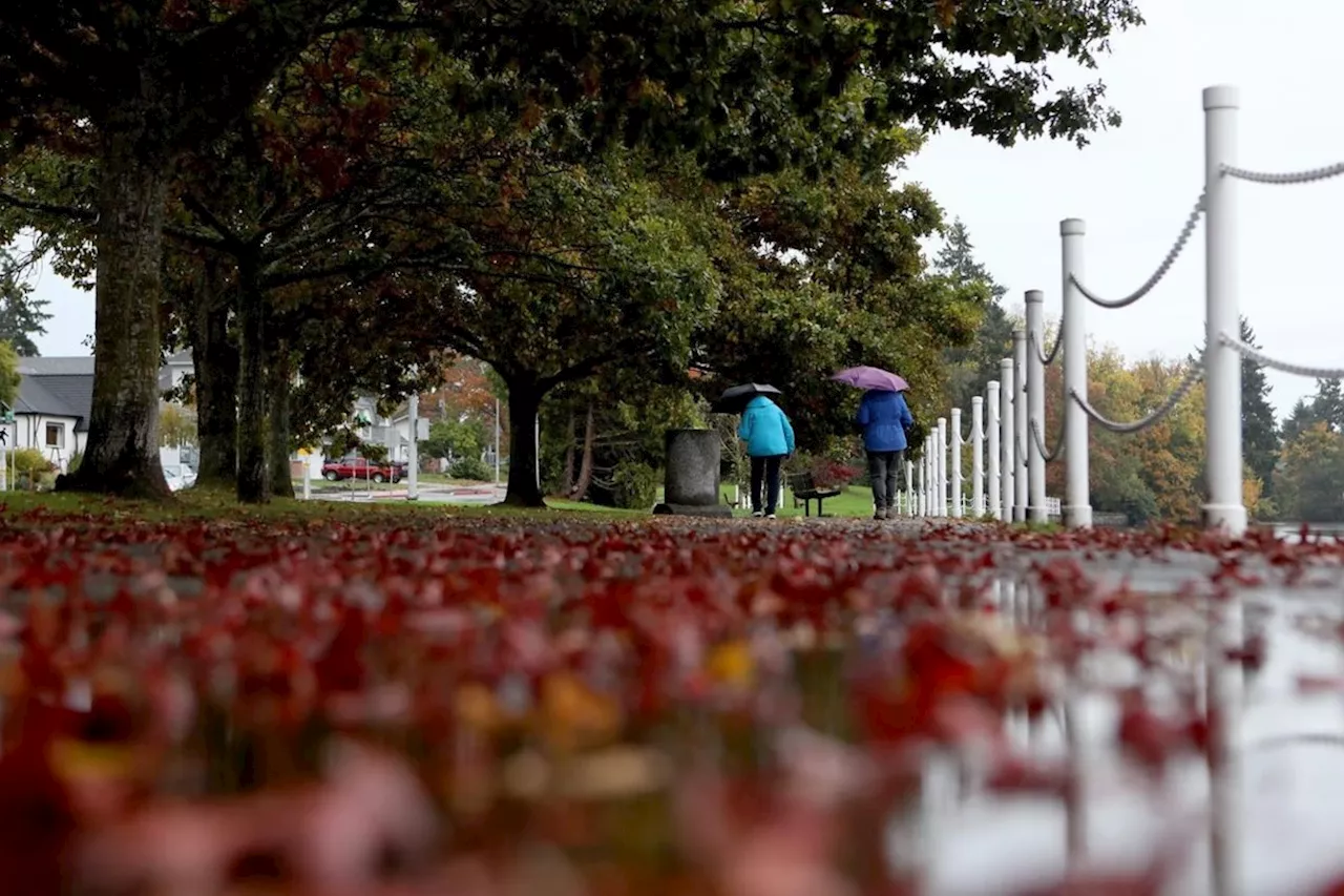 First atmospheric river of fall deluges parts of B.C. south coast, southern Interior