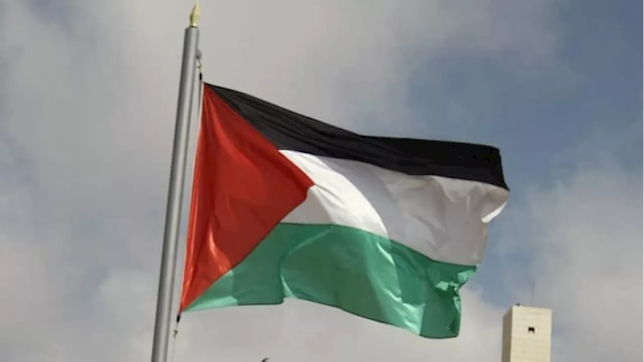 Man charged after allegedly ripping Palestinian flag off vehicle in Pickering