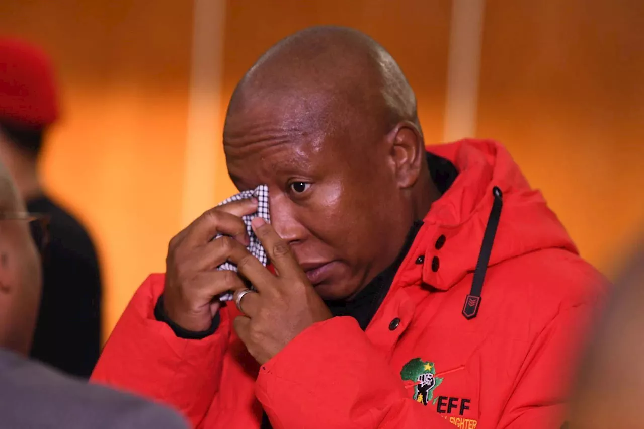 D-Day: Malema will learn about his fate in the gun charges case on Thursday