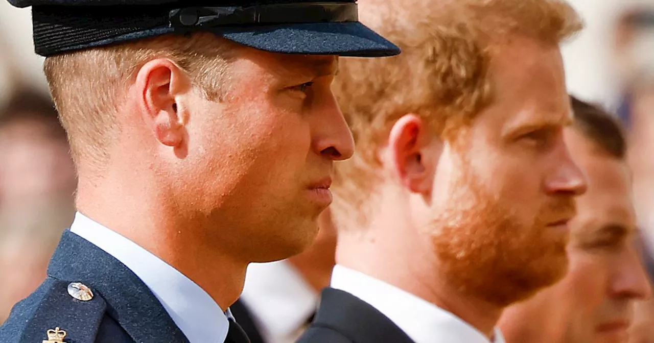 Prince William fumes over Harry's Netflix deal which 'ruthlessly exploits' Firm