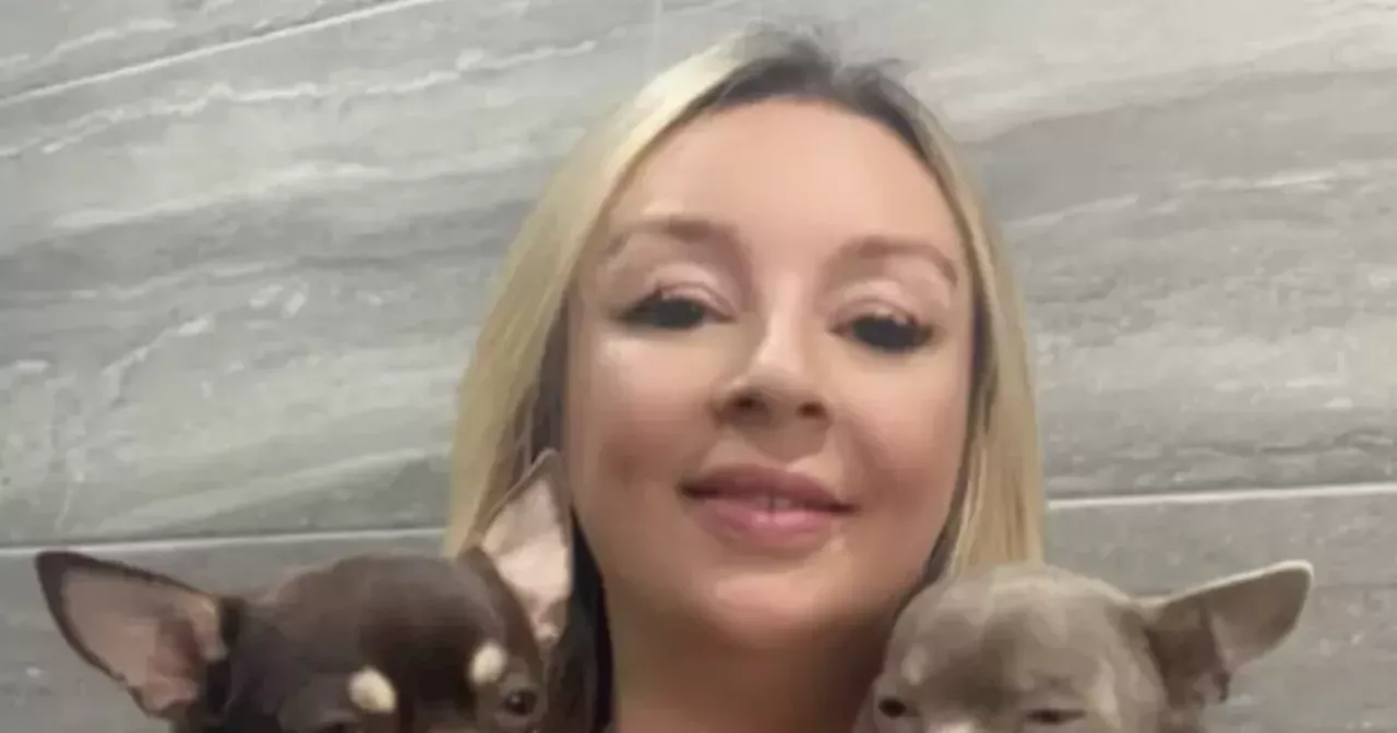 Terrified Scots mum 'circled by aggressive dog' on evening walk with chihuahuas