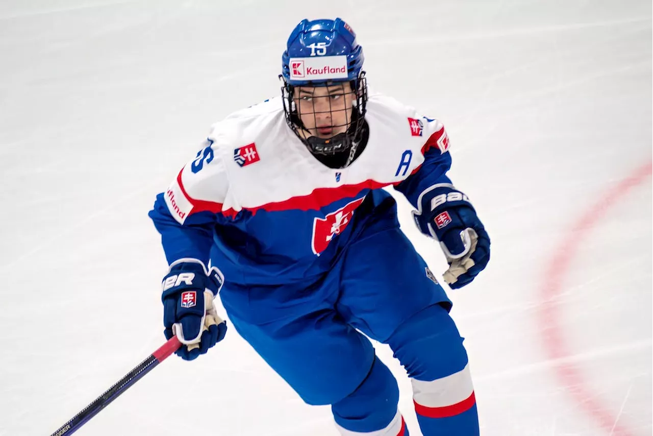 St. Louis Blues prospect Dalibor Dvorsky expected to join Sudbury Wolves