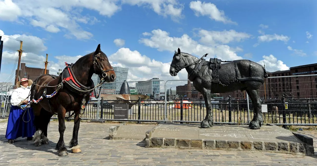 Famous horse that made rare 128-mile journey comes home