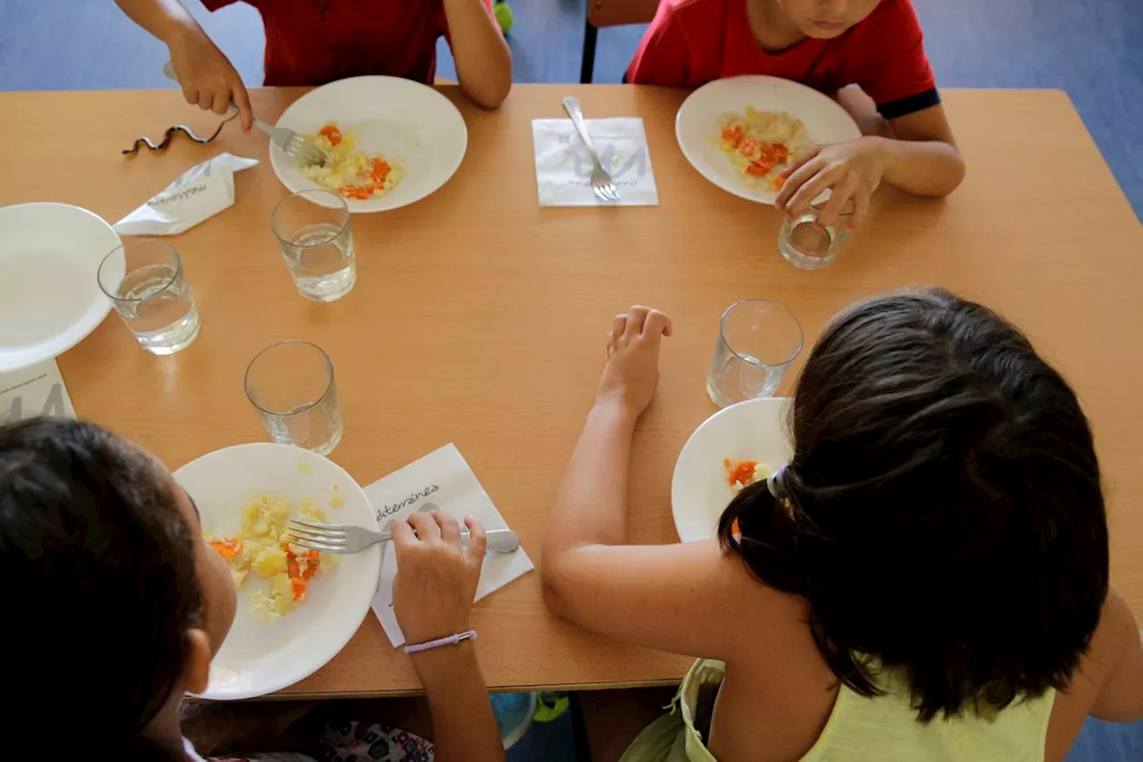 La Comunidad de Madrid aprueba las becas de comedor escolar a todos los solicitantes, tras meses de caos en la tramitación