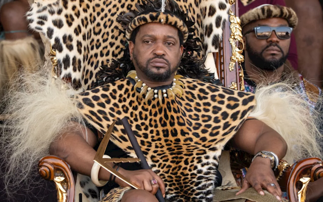 Court hears Zulu royal succession is not automatically decided by birth