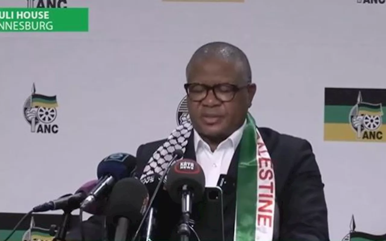 Mbalula likens bombing of Gaza hospital to a genocidal crime