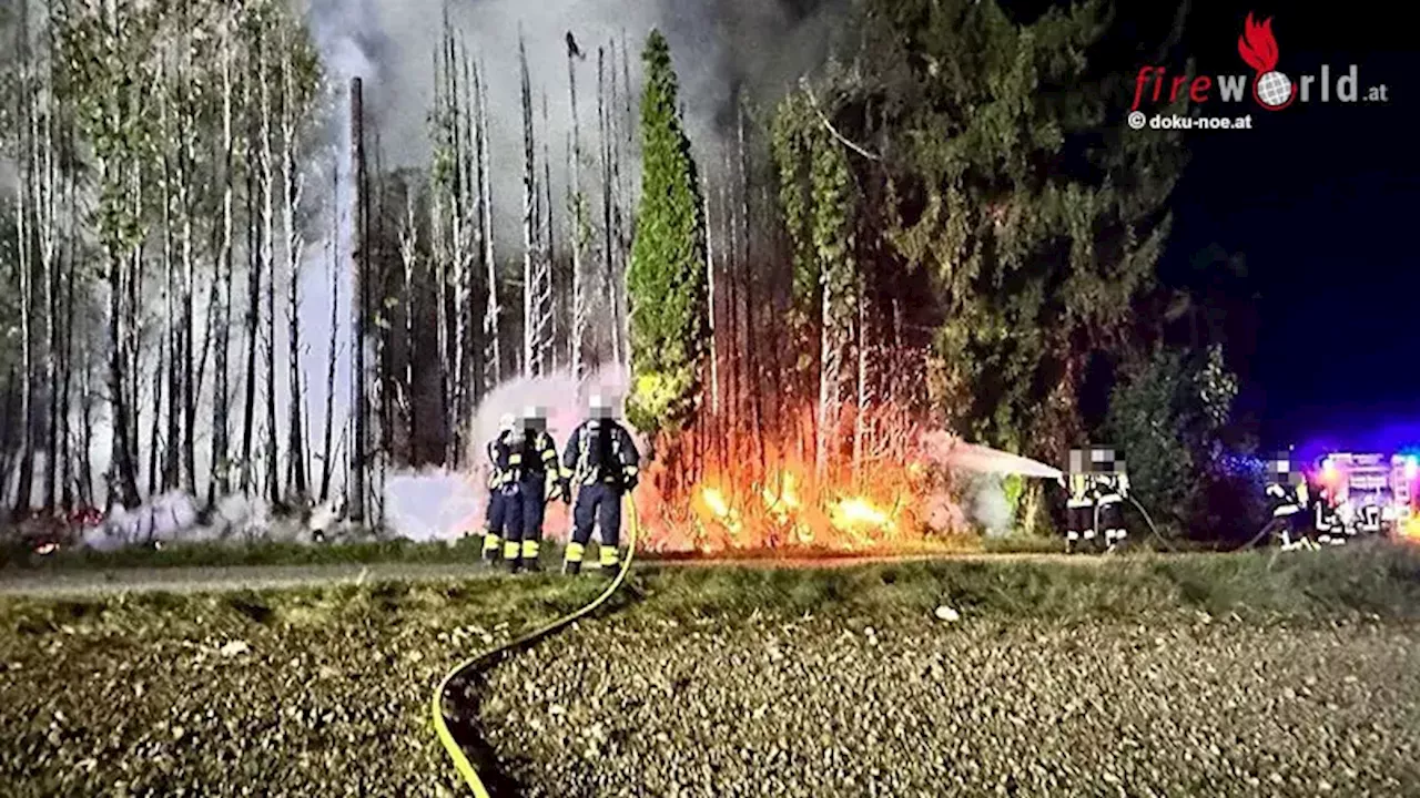 Nö: In Brand geratener Stromkasten setzt Hecke in Haidershofen in Brand