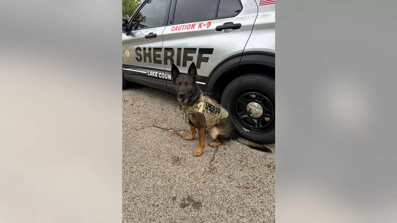 Lake County Sheriff's K9 Axel suits up in newly donated body armor