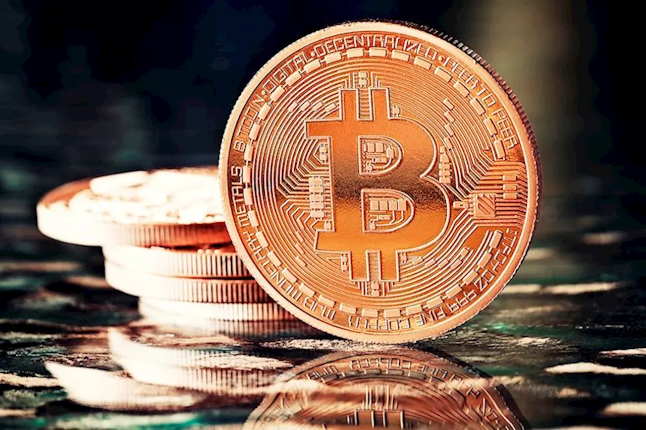 Bitcoin price likely to crash by 30% as BTC halving stands only 180 days away