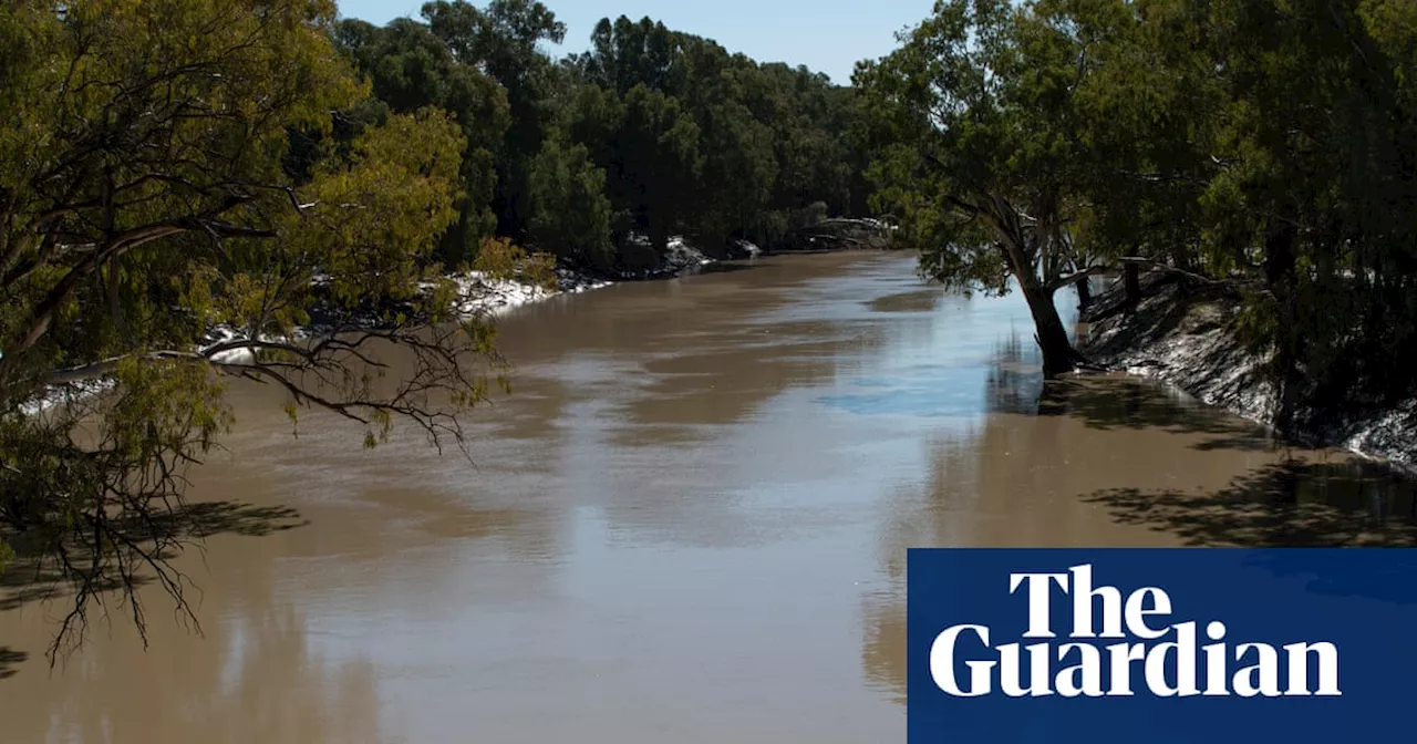 Labor’s Murray-Darling Basin water buyback plan would trigger wave of job losses, farmers warn