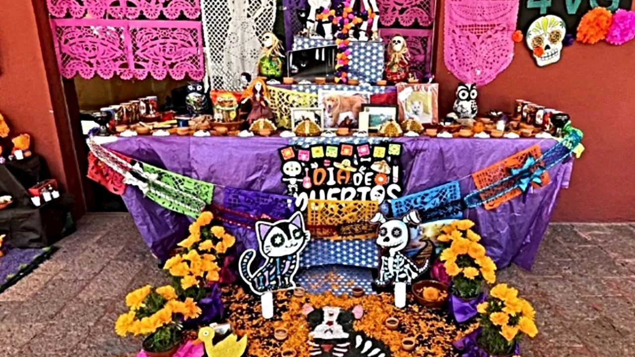 Día de Muertos 2023: elementos que tiene que llevar sí o sí tu altar para mascotas