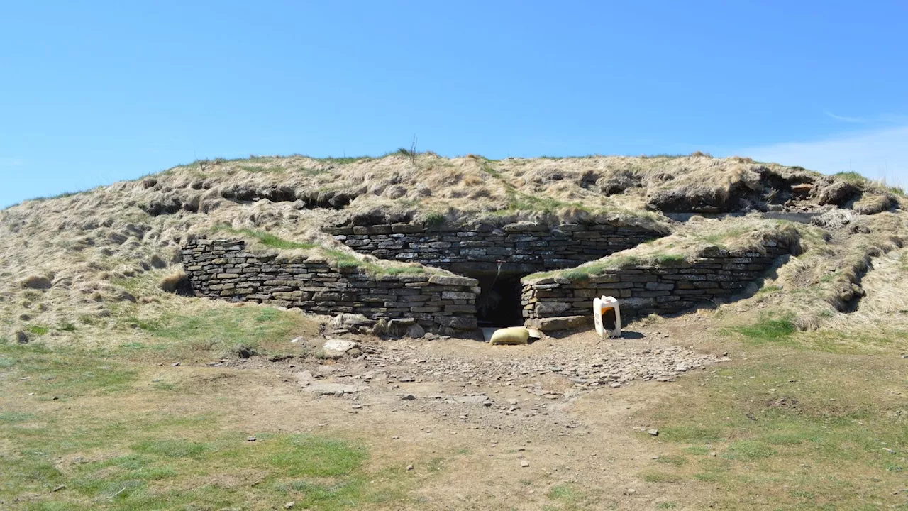 Study reveals Mesolithic Europeans ate seaweed and freshwater plants