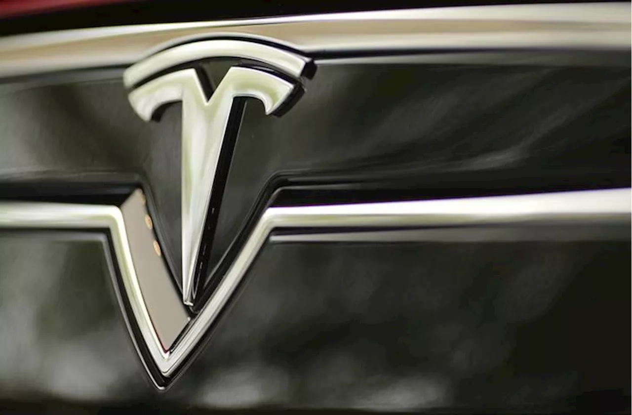 Chinese suppliers to invest in Mexican state where Tesla planning factory