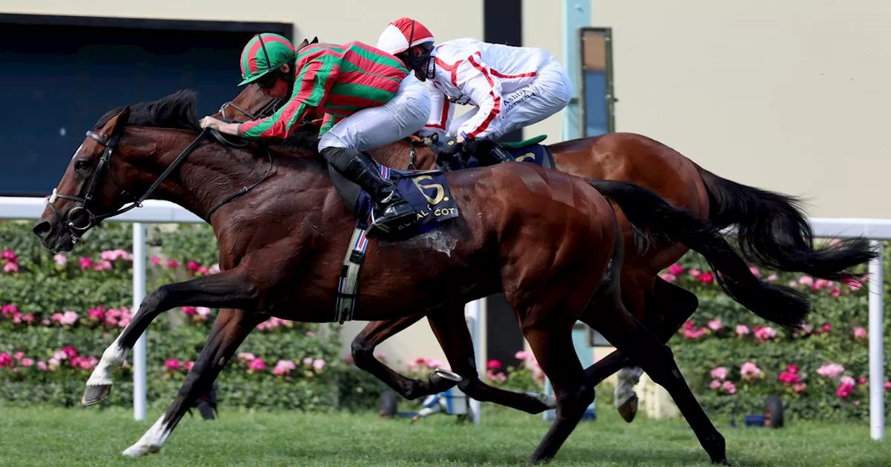Joseph O’Brien doubles up as he pursues a ‘Spring Slam’ in Caulfield Cup