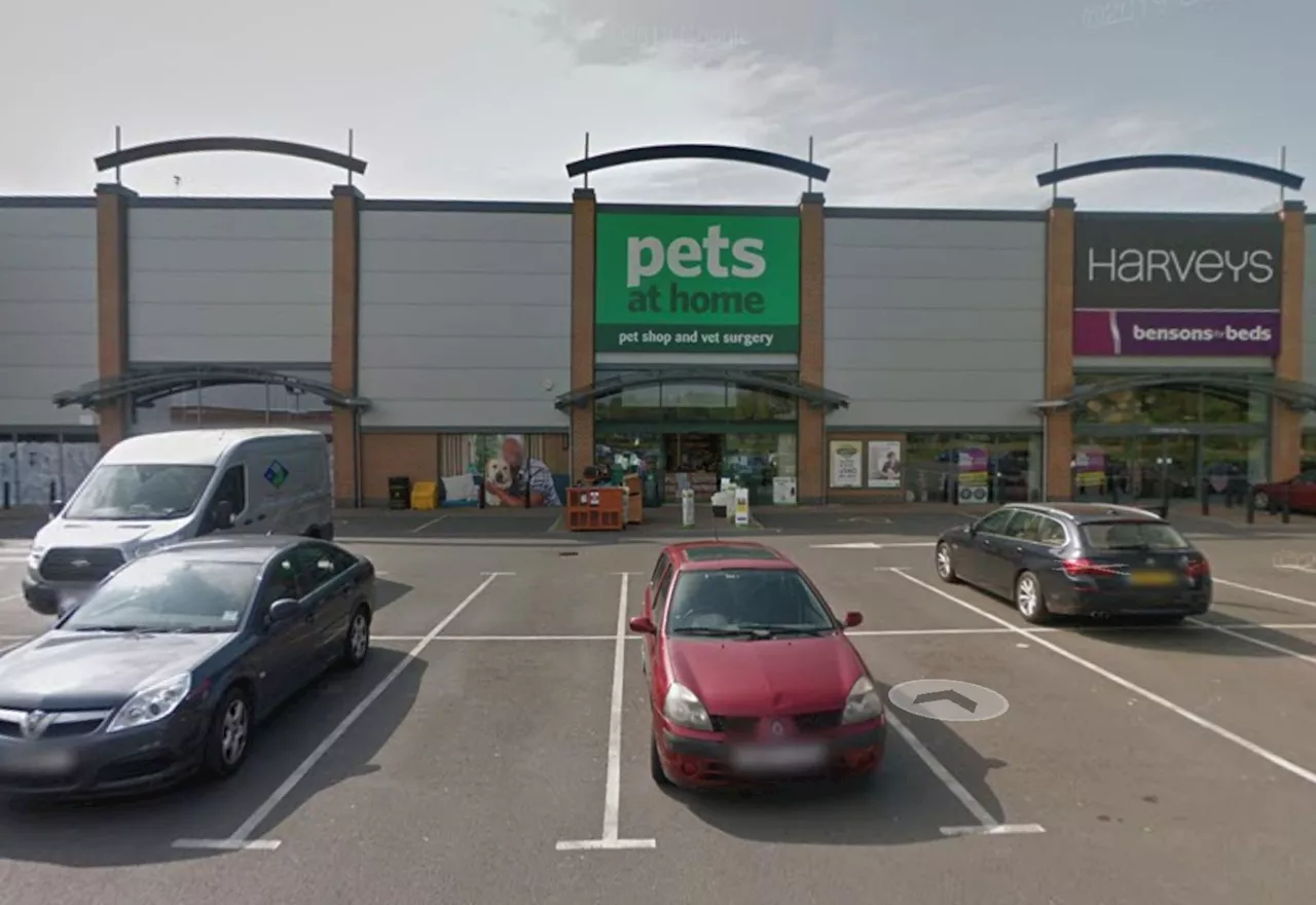 Swindon stabbing: Man seriously injured after being attacked outside Pets at Home store