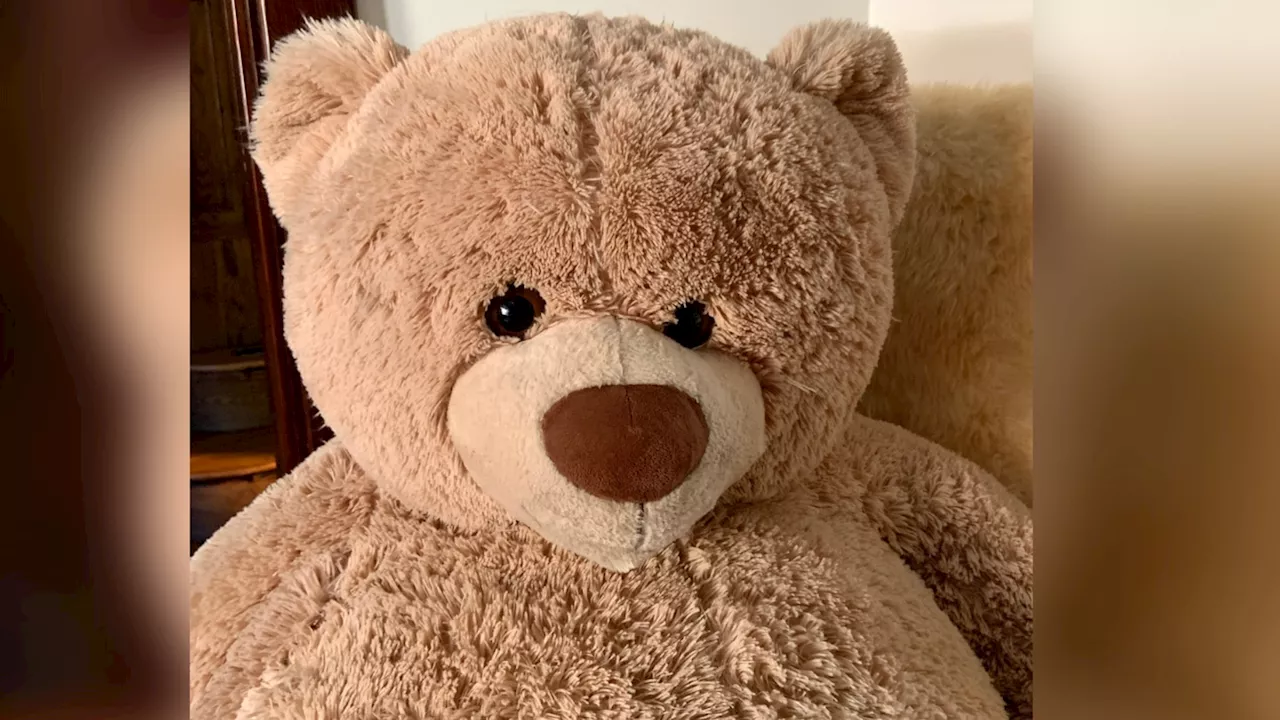 Man accused of blowing up giant teddy bear that led investigators to drugs, weapons, ammunition