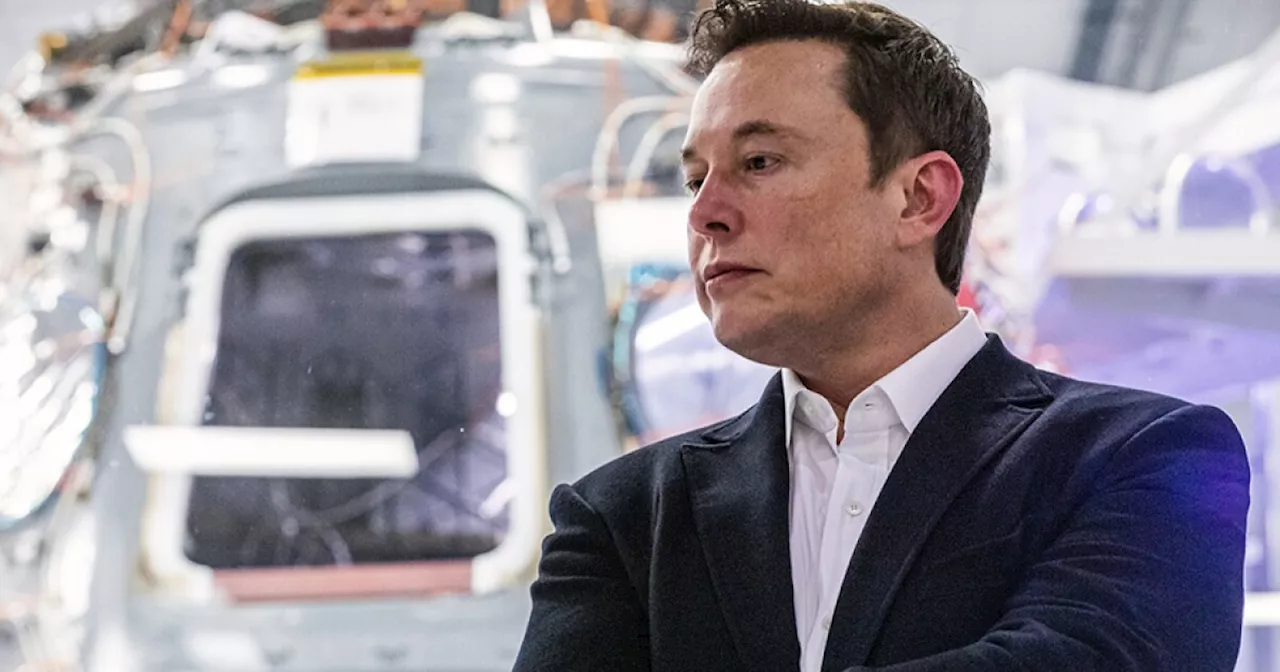 IN THEIR OWN WORDS: Elon Musk