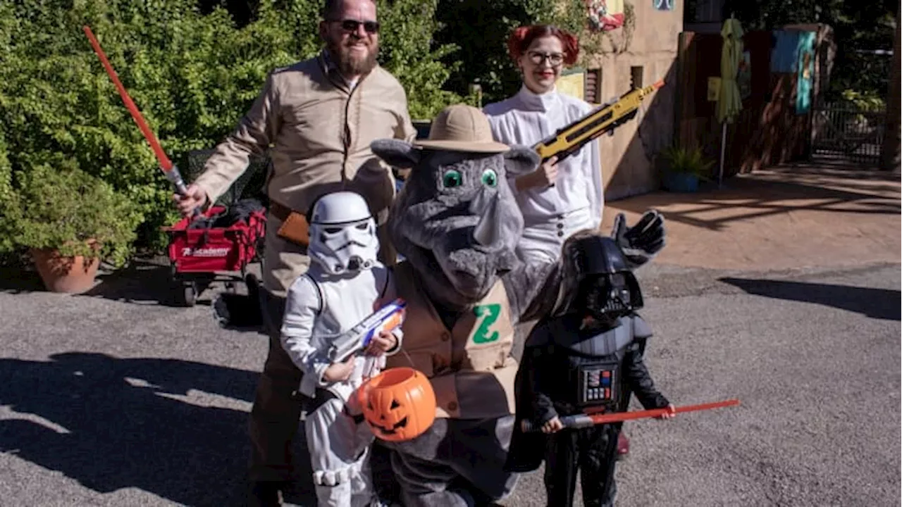 Admission for Zoo Boo is $8 on Friday for Locals Day