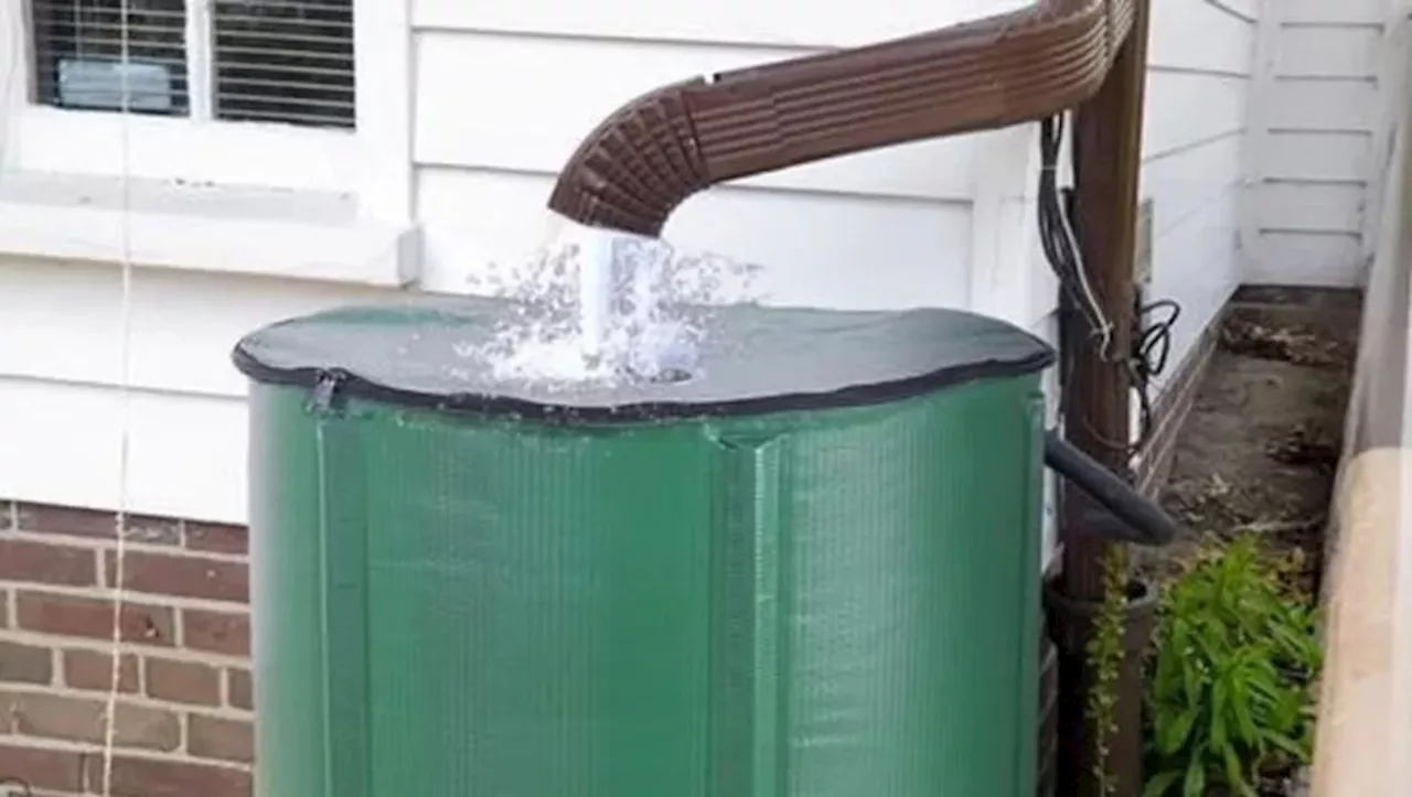 Avec une capacité de 250 litres, ce récupérateur d'eau de pluie est incontournable chez Cdiscount