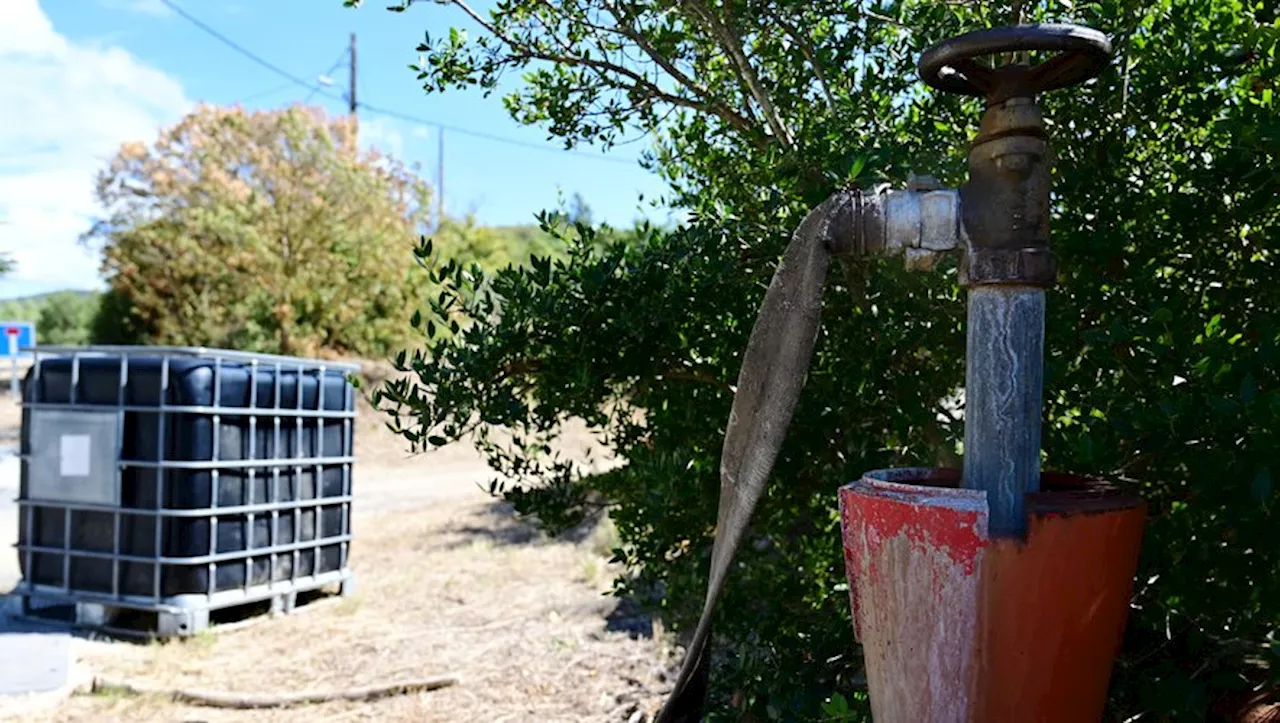 Entre chasseurs et étrangers, comment un village de 28 habitants se déchire