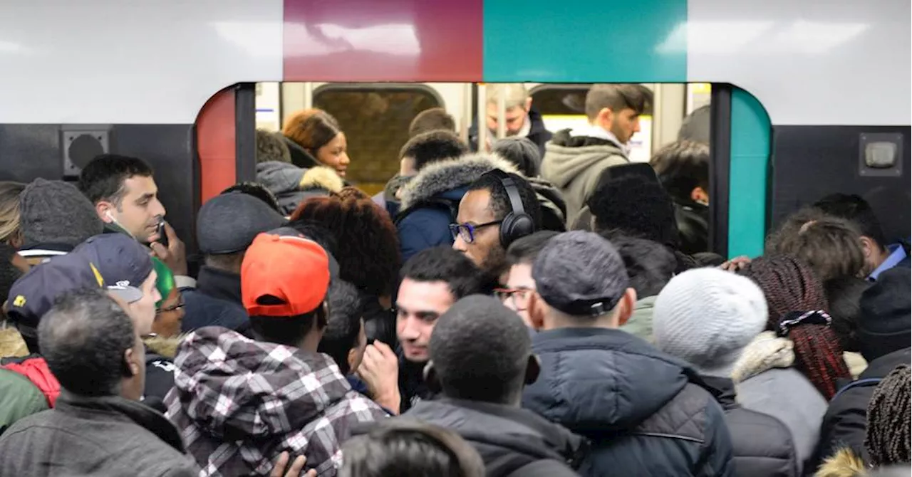 La performance des exploitants de RER n'est 'pas satisfaisante', épingle la Cour des comptes