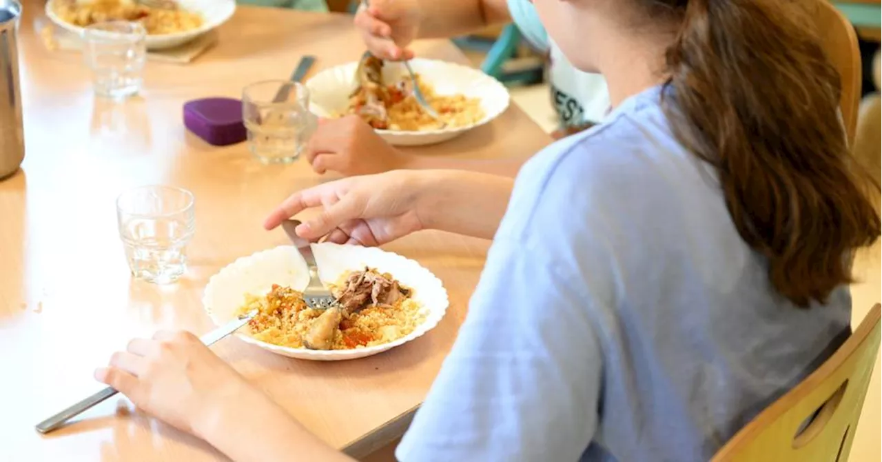 Politiques, scientifiques et ONG autour de la table pour améliorer la restauration scolaire dans le monde