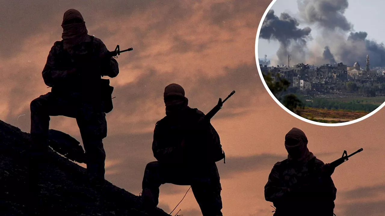 SAS troops 'on high alert and ready to assist' Israeli special forces to rescue British hostages