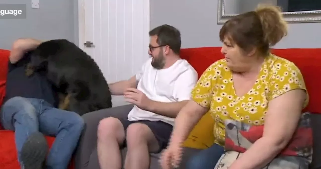 The Malones heartbroken as beloved Dave the dog dies