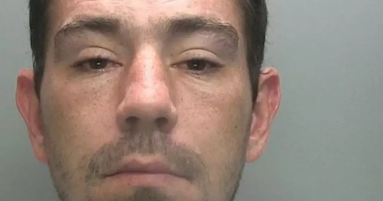 Violent burglar lunged at dog walker following botched break in