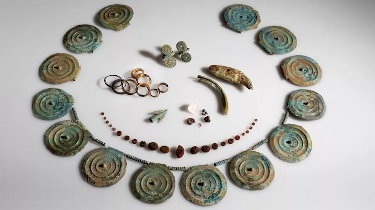 Stash of 'eye-catching' Bronze Age jewelry discovered by metal detectorist in Swiss carrot field