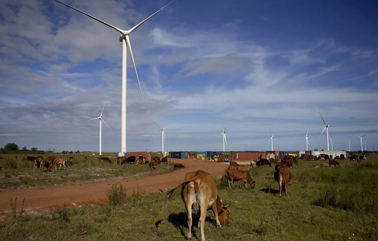 Wind energy playing crucial role in Africa’s energy supply