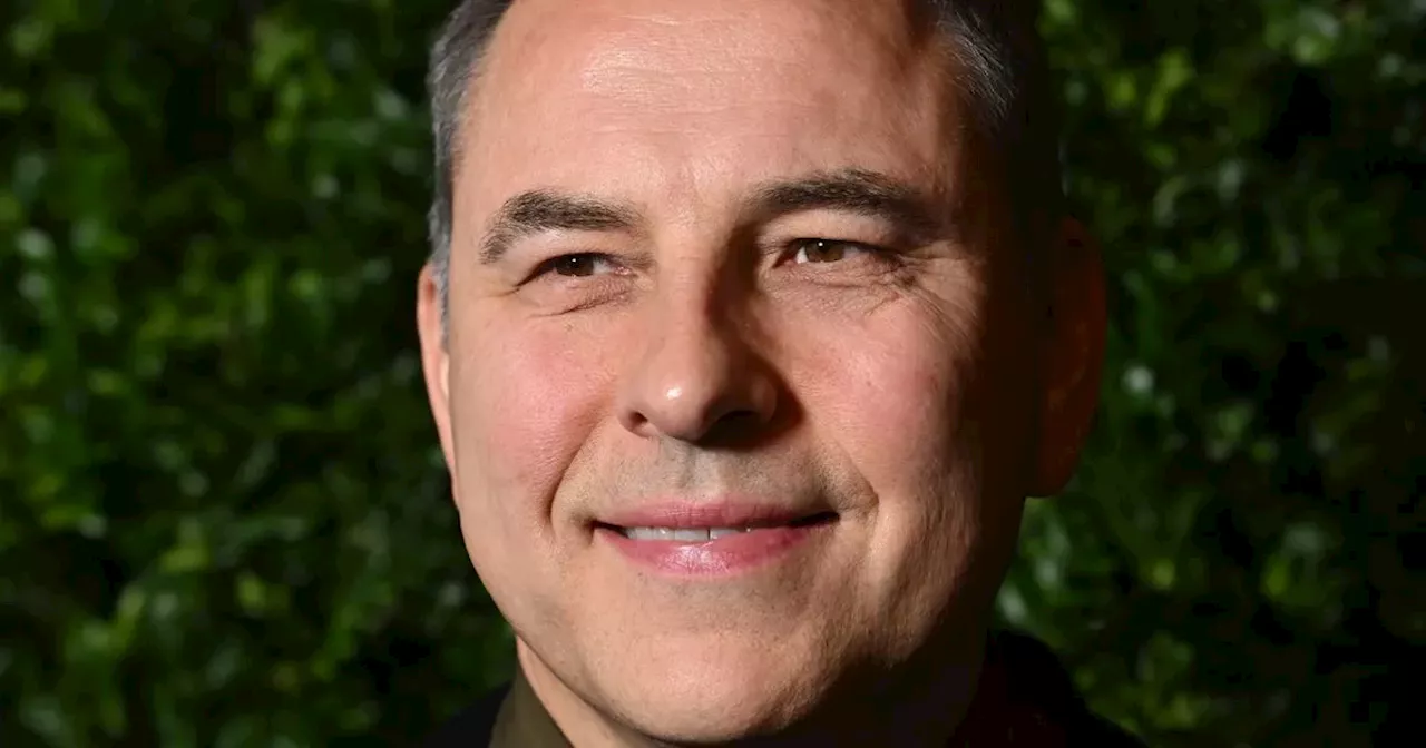 David Walliams had 'suicidal thoughts' after Britain's Got Talent leak