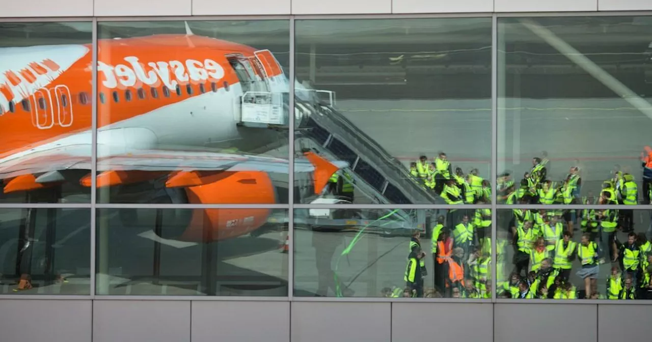 Flight delayed after pilot ordered deep clean after mosquito invasion