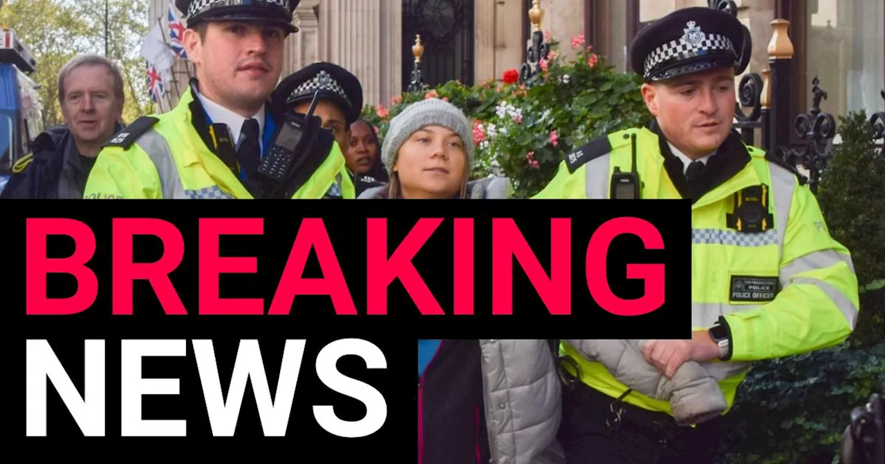 Greta Thunberg charged by police after being arrested at London protest