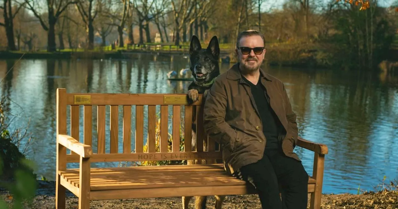 Ricky Gervais and Netflix After Life bench vandalised in Hampstead Heath