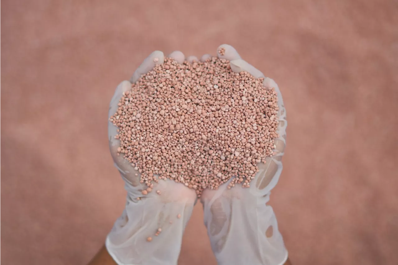 Brazilian court rules in favor of Brazil Potash’s Autazes project