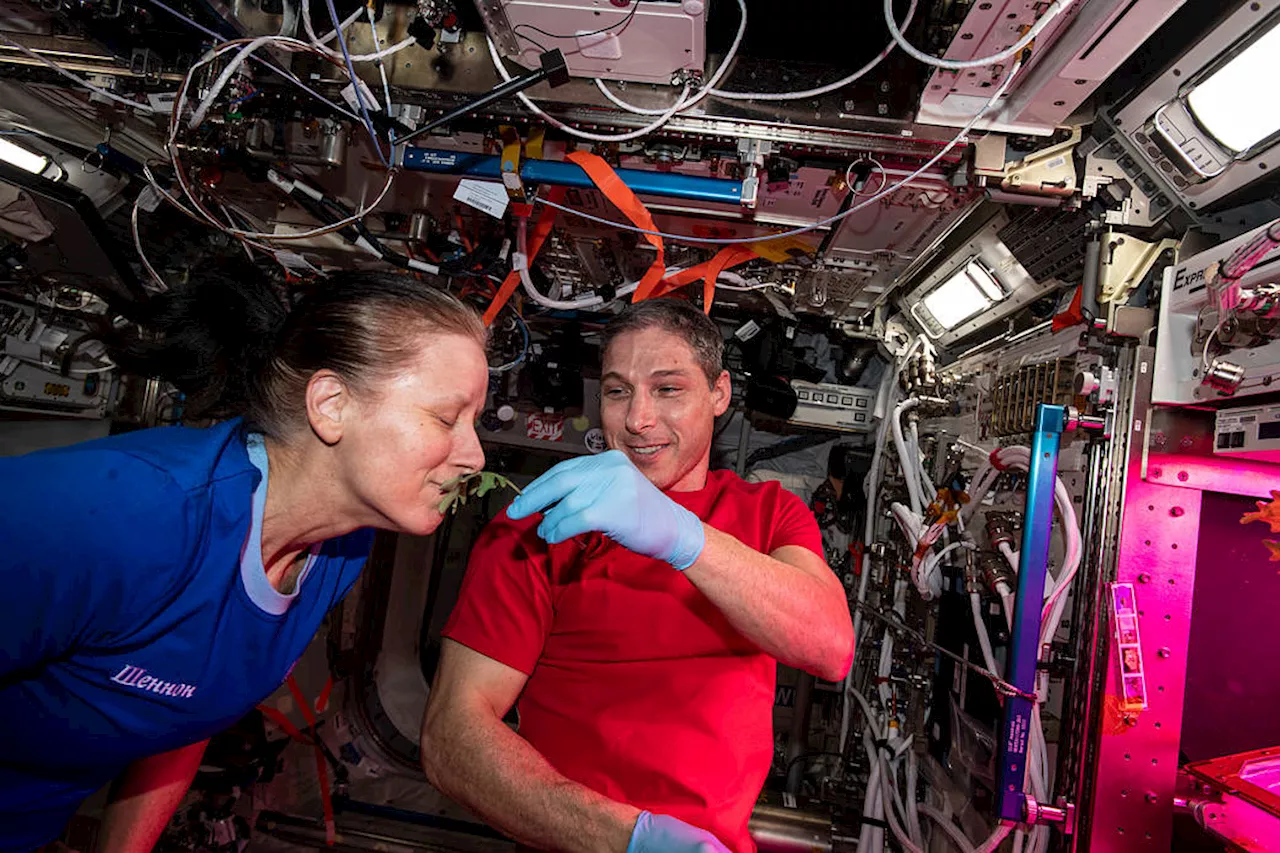 Station Science 101: Growing Plants in Space