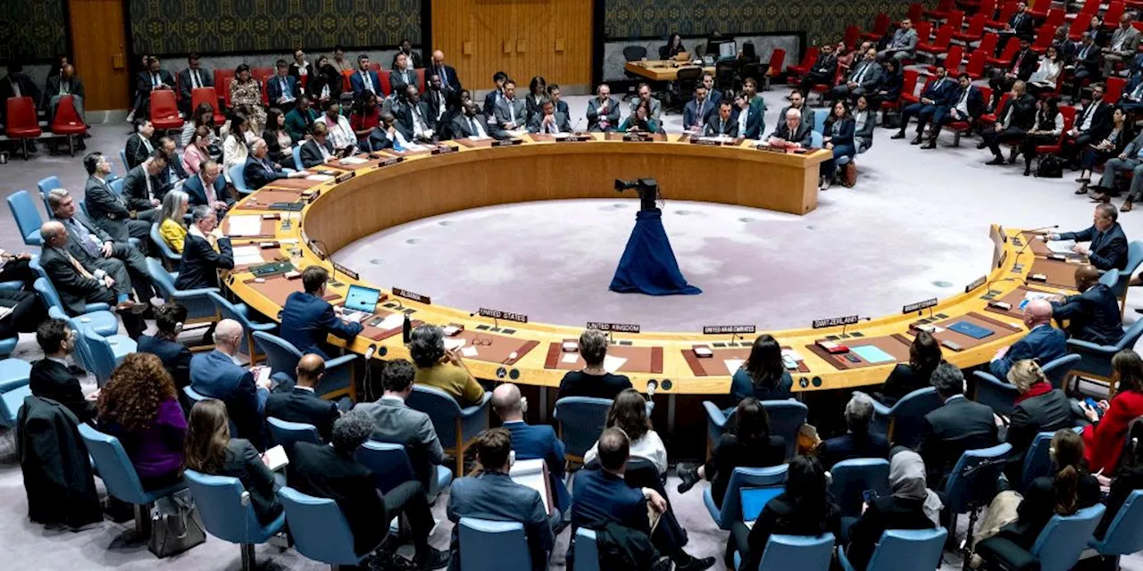 Nahost-Resolution zu humanitärer Hilfe scheitert im UN-Sicherheitsrat
