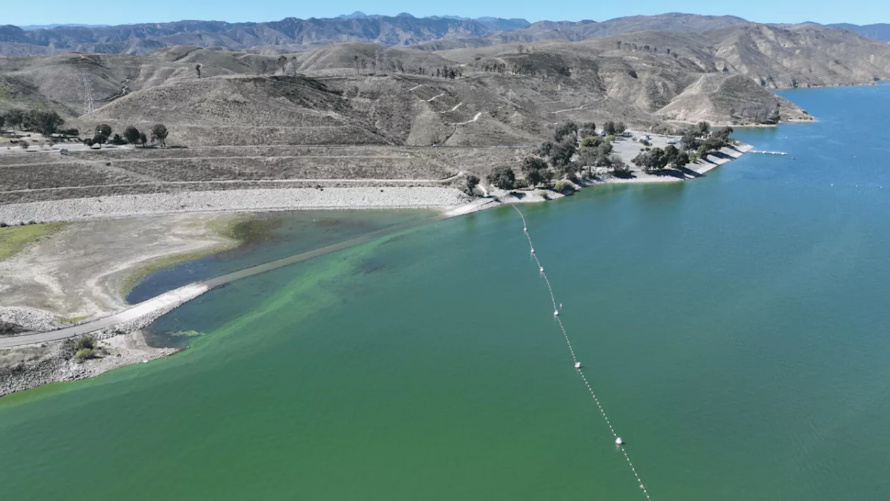 Danger advisory issued at Upper Castaic Lake over toxic algae bloom