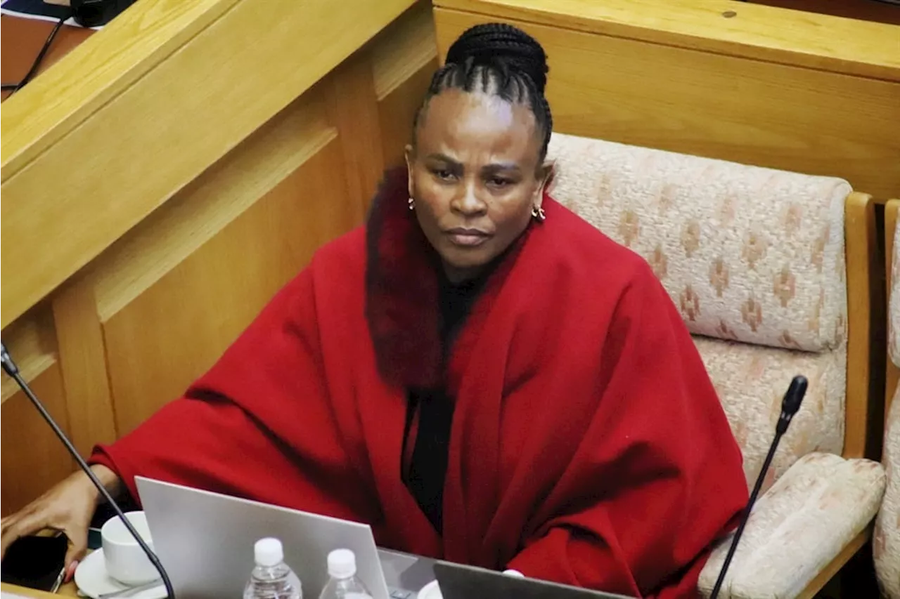 | Behind 'pseudo-martyr' Mkhwebane and the EFF's propaganda populism