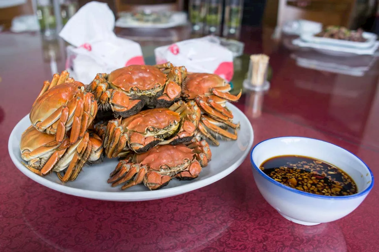 Edible and delicious Chinese mitten crabs are invading the UK