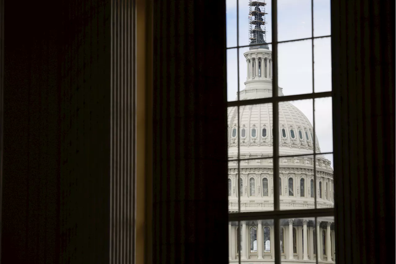 Protesters Take Over Capitol Over Hamas, Israel War