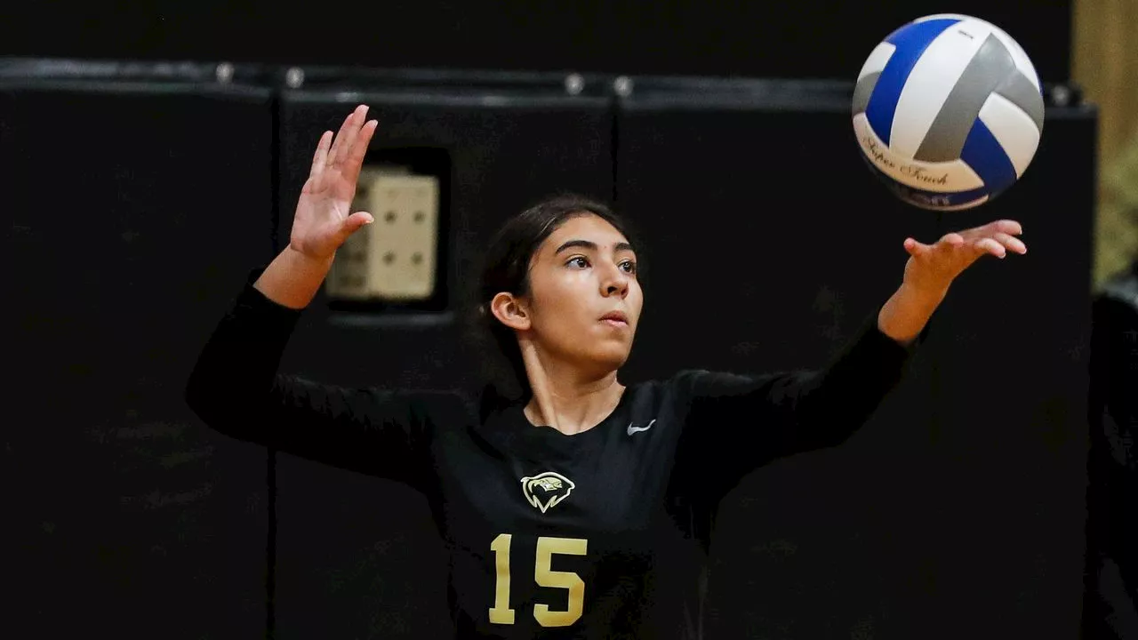 Girls volleyball: Conference players of the week, Oct. 11-17