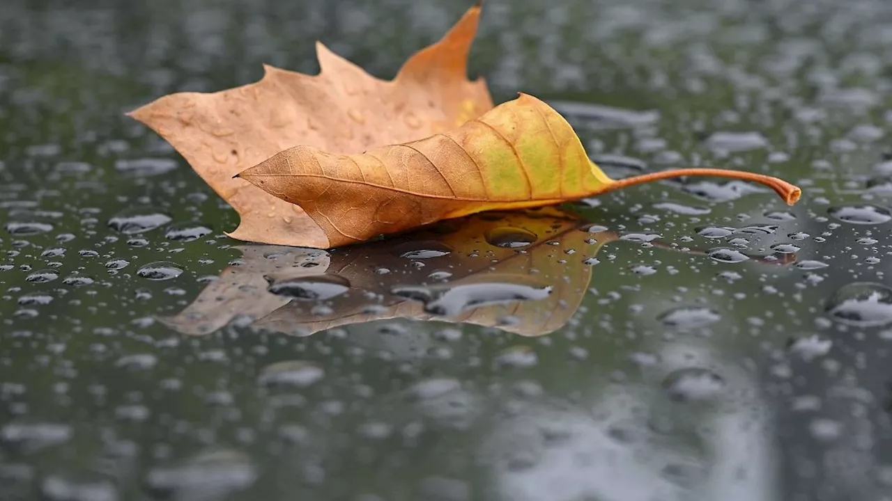 Hessen: Wechselhaftes und regnerisches Wetter in Hessen