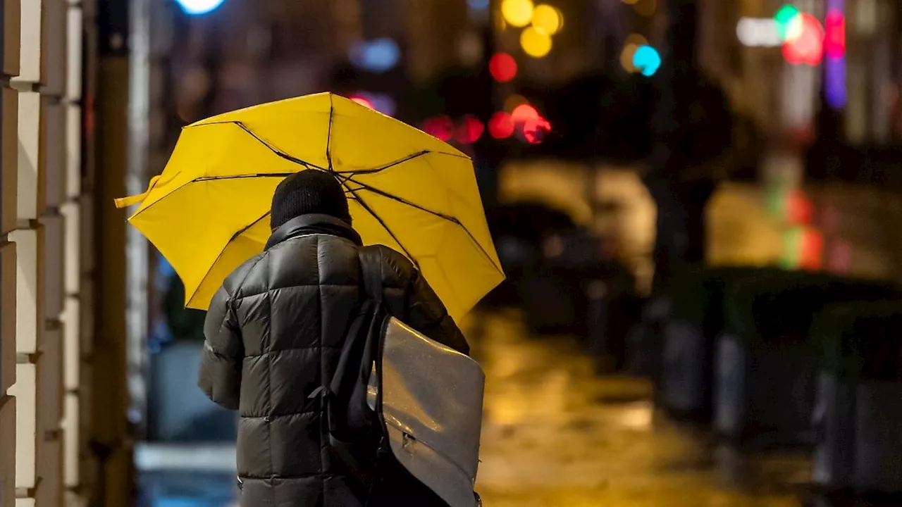 Rheinland-Pfalz & Saarland: Regnerisches Wetter in Rheinland-Pfalz und Saarland