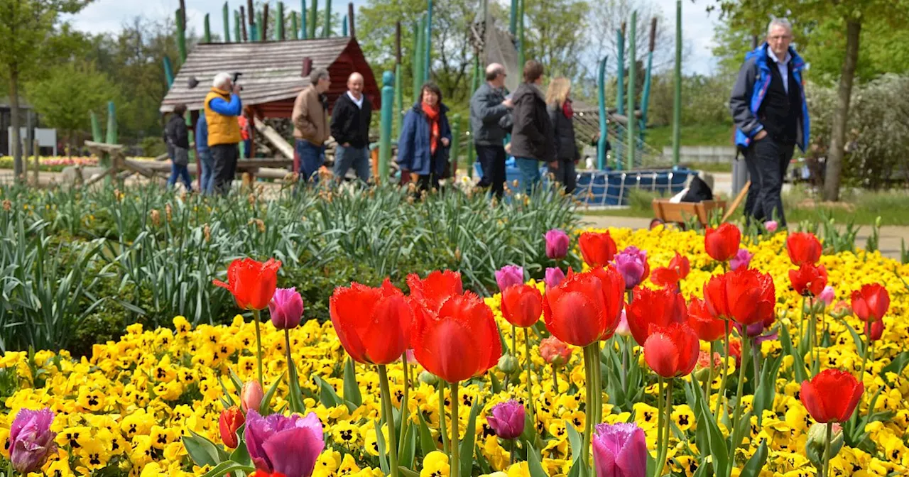 Mögliche Landesgartenschau im Kreis Gütersloh: Ausgangspunkt für Besucher überrascht