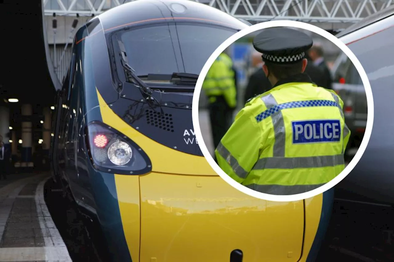 Arrest after Watford Junction train 'threats with hammer'