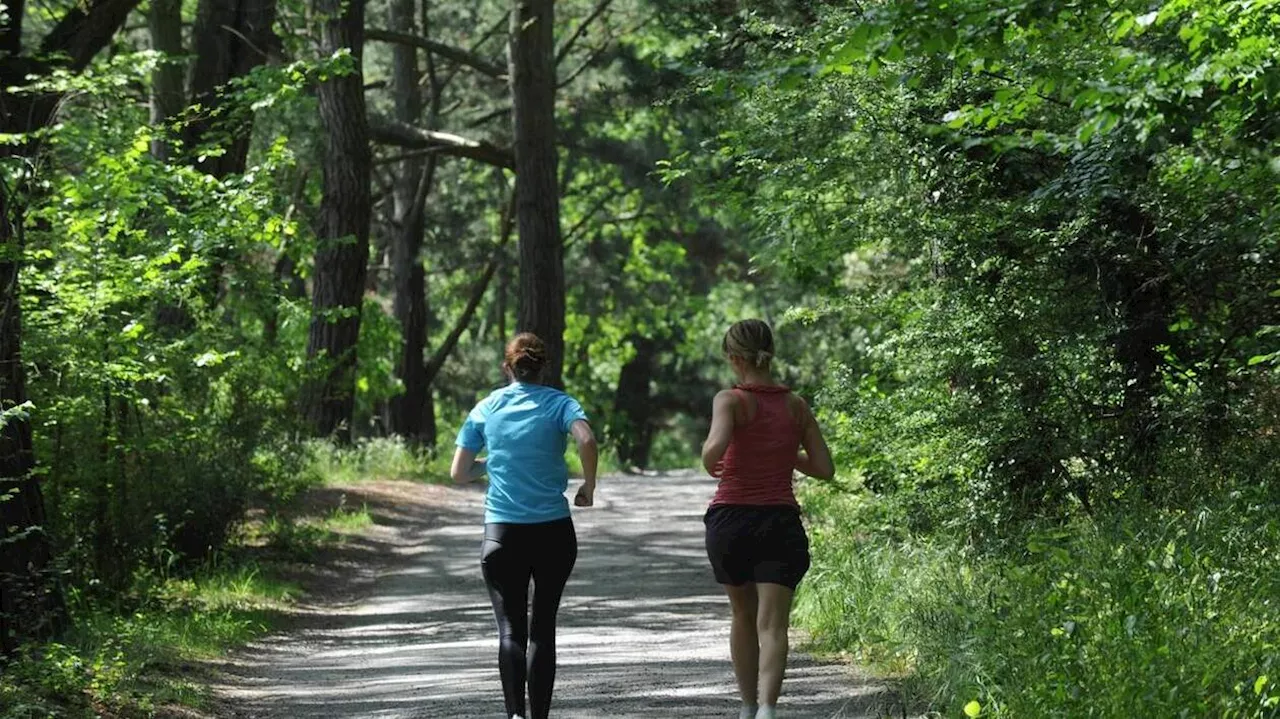 Tentatives de viols sur trois jeunes femmes pendant leur jogging : un suspect interpellé à Nantes